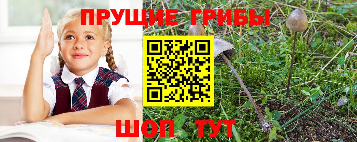Псилоцибиновые грибы мицелий  Вход с VPN  Междуреченск 