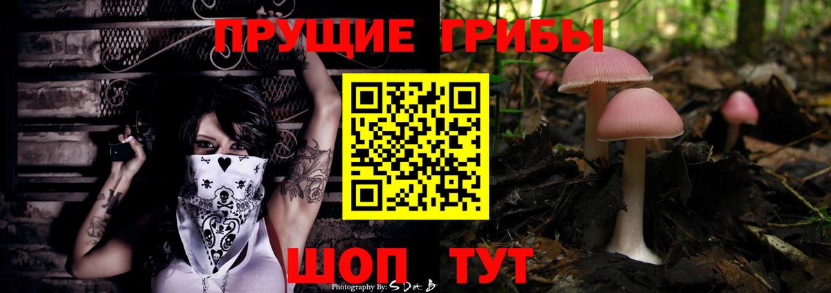 Псилоцибиновые грибы Magic Shrooms Междуреченск
